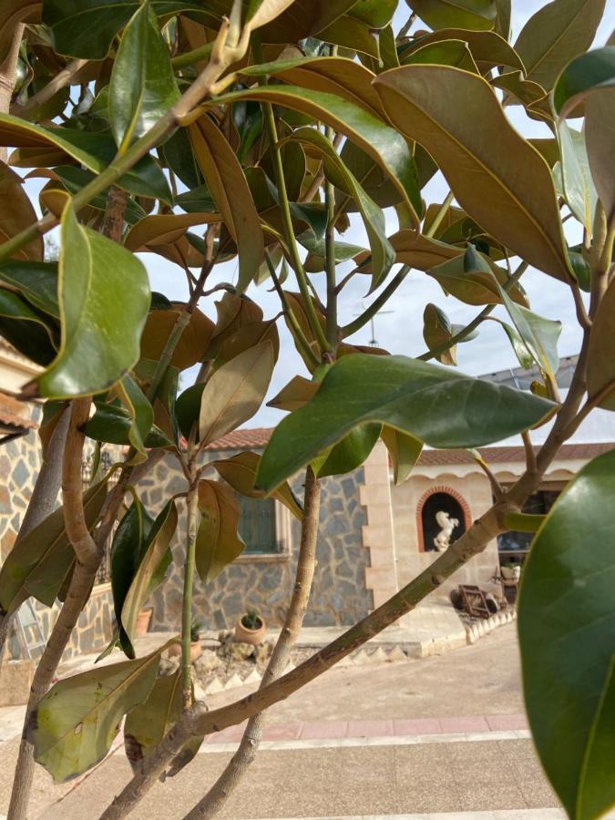 Esse Natura Alojamientos & Lifestyle Pozohondo Bagian luar foto